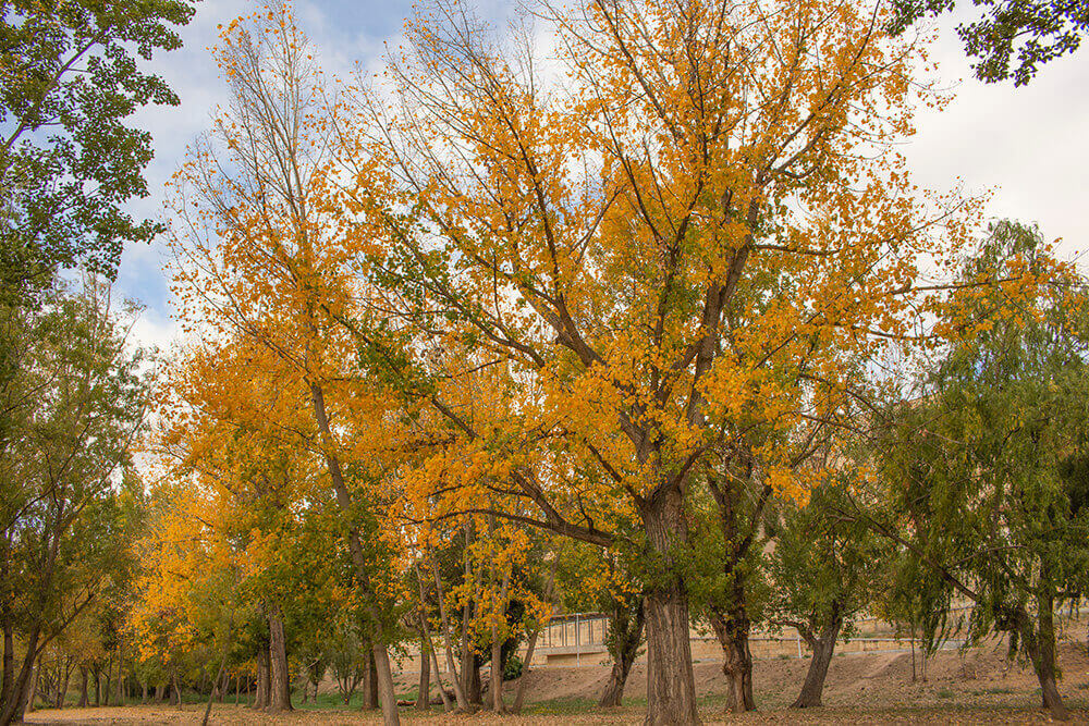 Autumn in Salamanca, Spain