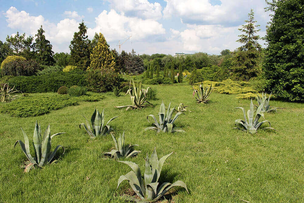 Dendrarium Park in Chisinau, Moldova