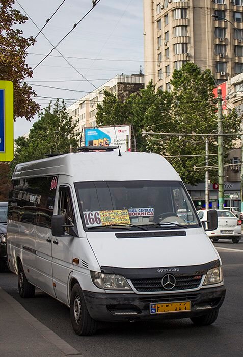 Maxi-taxis-in-Chisinau