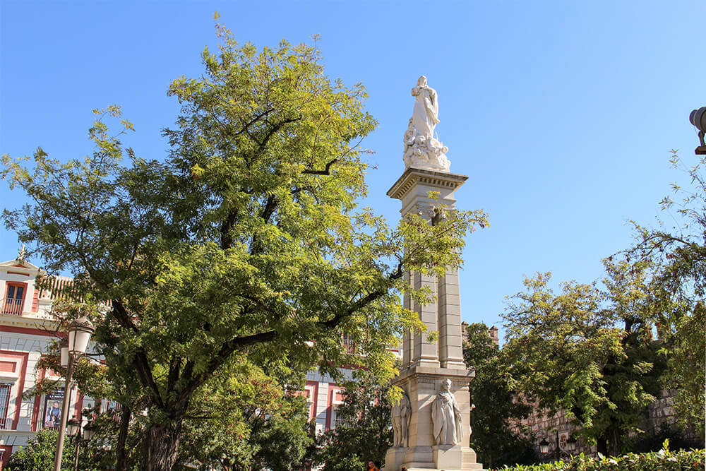 Plaza del Triunfo in Seville