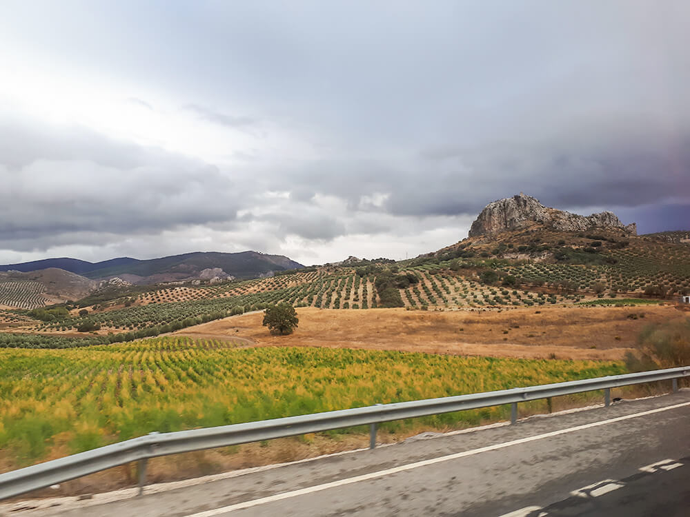 The road from Cordoba to Granada