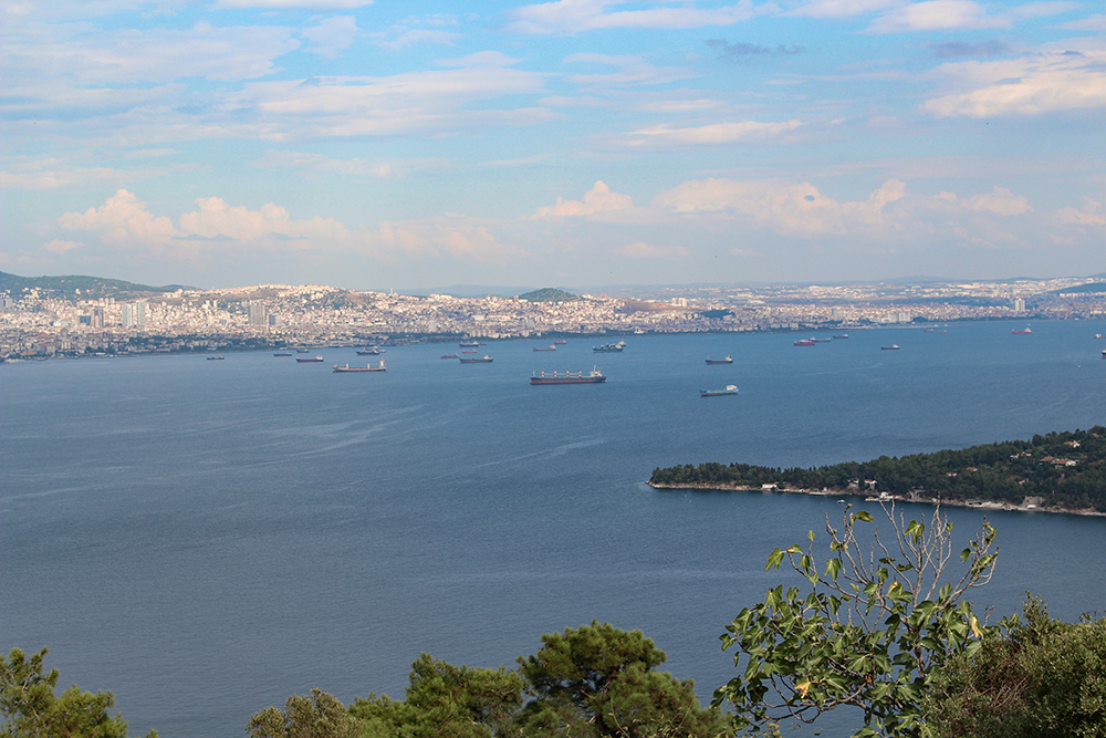 View from the hill on Prince Islands, Istanbul