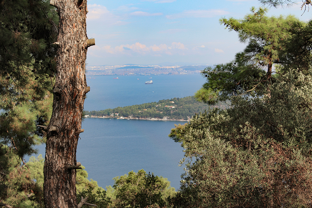 View from the hill on the Prince Islands