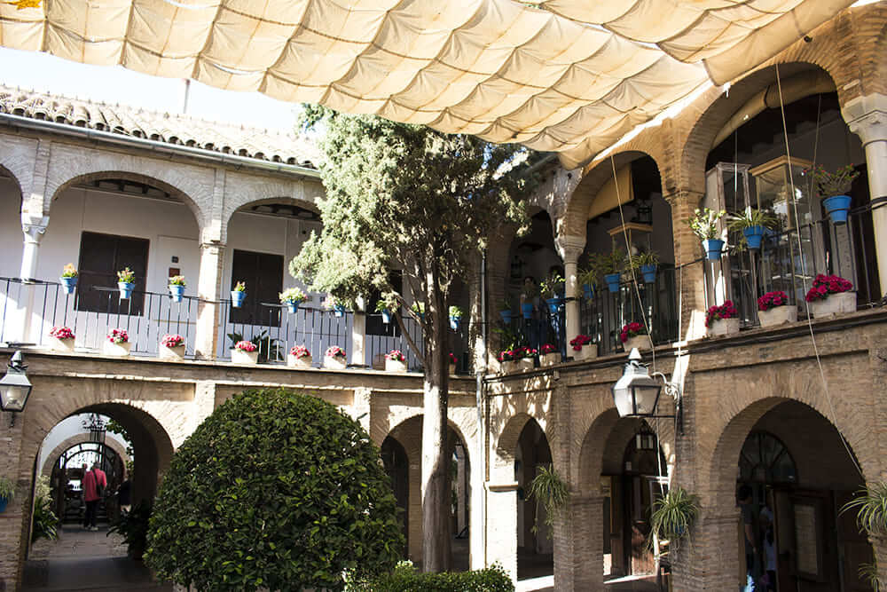 Zoco Municipal