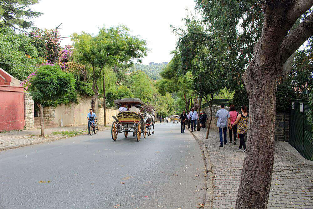 horse-carriage on Prince Islands, Istanbul