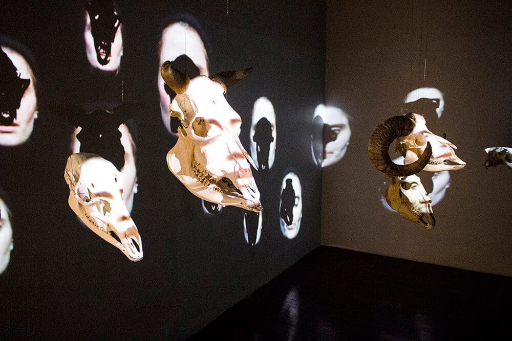 Cranium-Choir-in-Stavanger-City-Museum