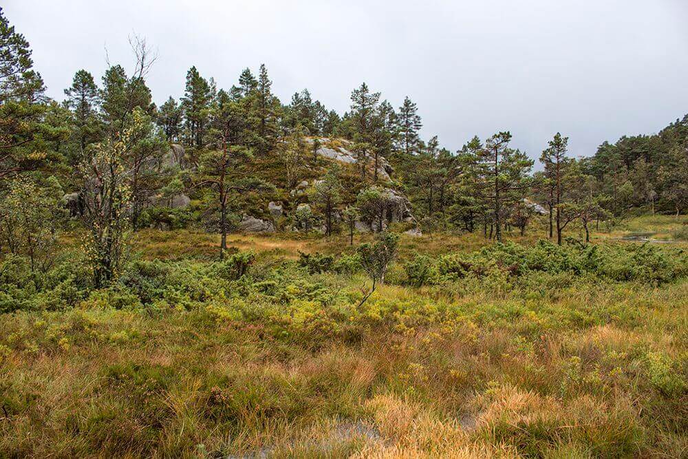 Views-along-the-trail-to-Preikestolen