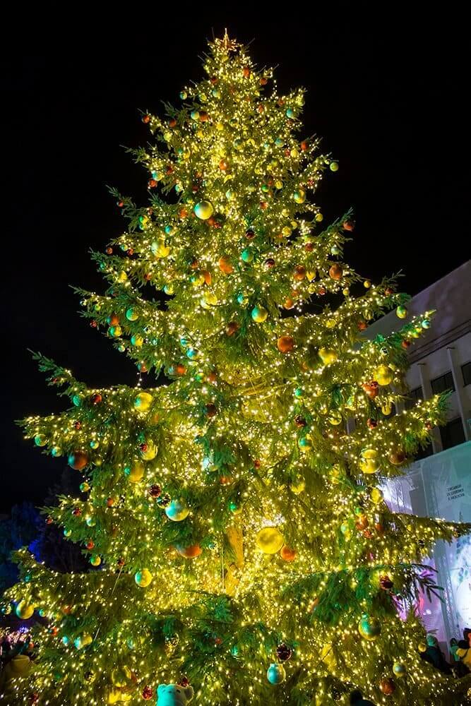 xmas-tree-at-the-xmas-fair