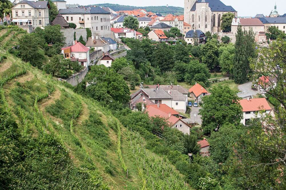 The-vineyards-of-Kutna-Hora, Czech Republic