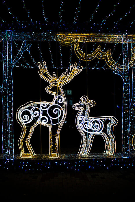 Deer in Chisinau, Moldova